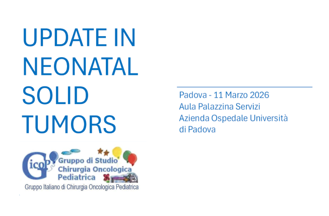 Collegamento a Incontro Primaverile del Gruppo Italiano di Chirurghi Oncologi Pediatri – GICOP