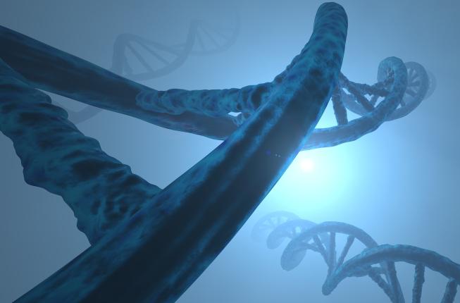 Collegamento a CORSO di ALTA FORMAZIONE in GENETICA RIPRODUTTIVA e PRENATALE